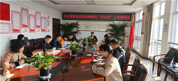 落实省委巡视整：回头看_副本.png